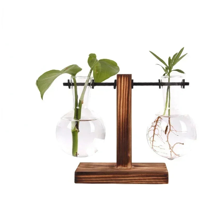Hydroponic Vase