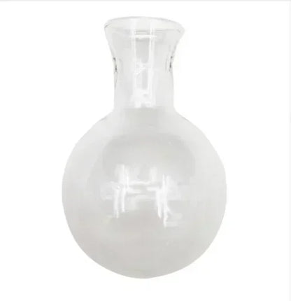Hydroponic Vase