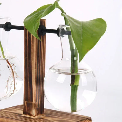 Hydroponic Vase
