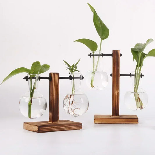 Hydroponic Vase