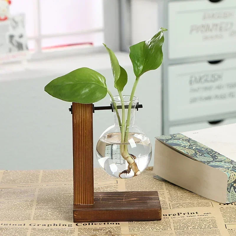 Hydroponic Vase