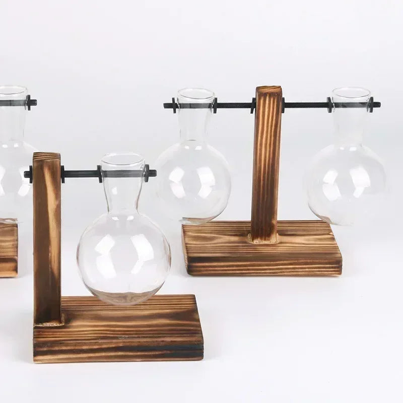 Hydroponic Vase