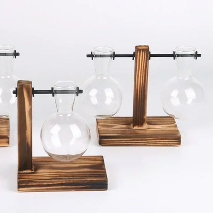 Hydroponic Vase