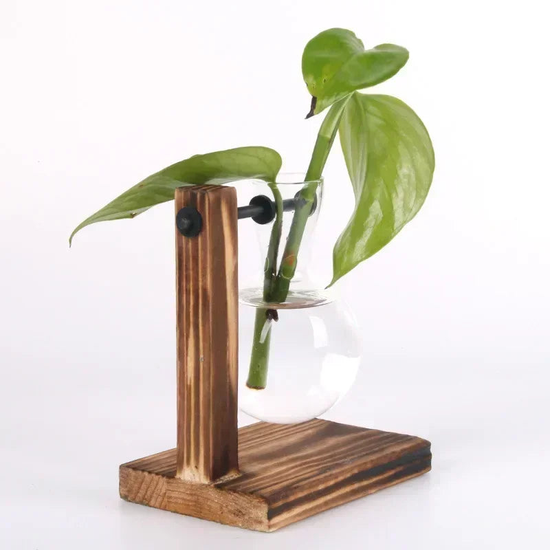 Hydroponic Vase