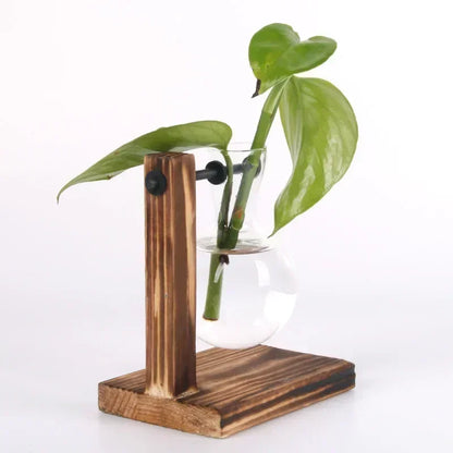 Hydroponic Vase