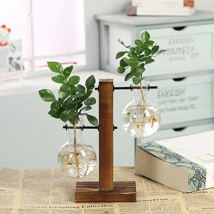 Hydroponic Vase