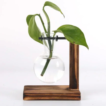 Hydroponic Vase