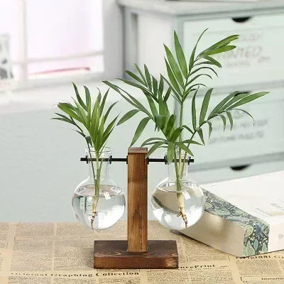 Hydroponic Vase